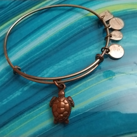 Alex and Ani Sea Turtle Charm Bracelet - Picture 13 of 13